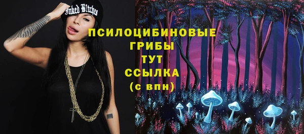 амф Белоозёрский