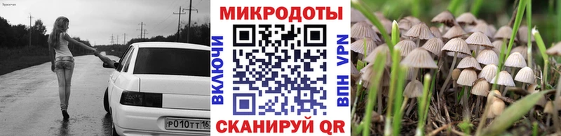 Псилоцибиновые грибы мицелий  это как зайти  Болгар  МЕГА tor 