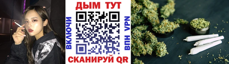 Канабис планчик  где купить наркотик  Болгар 